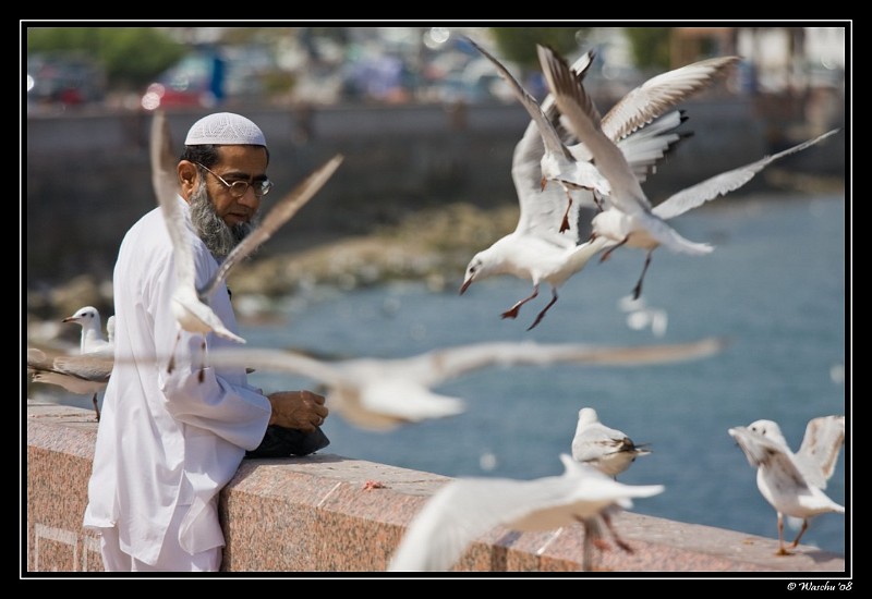 Feeding the Sea Gulls [1280x768].jpg